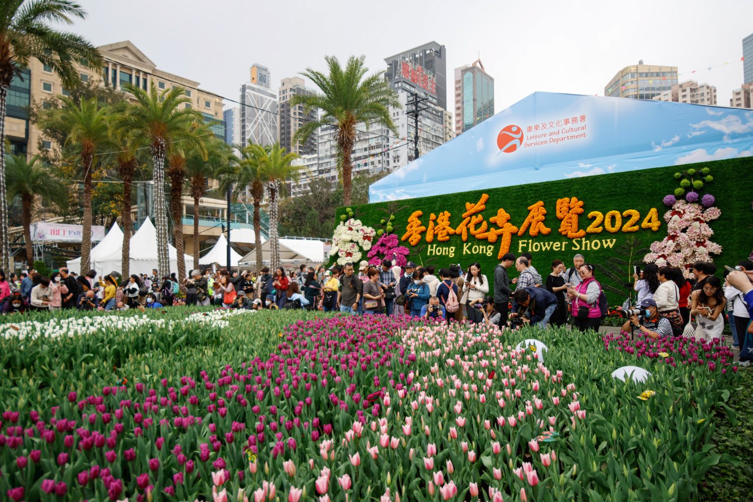 Floral Joy Around Town: 2024 Hong Kong Flower Show